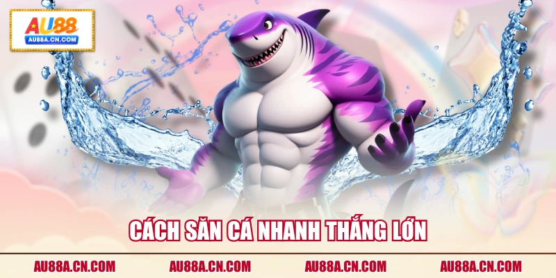 cach-san-ca-nhanh-thang-lon