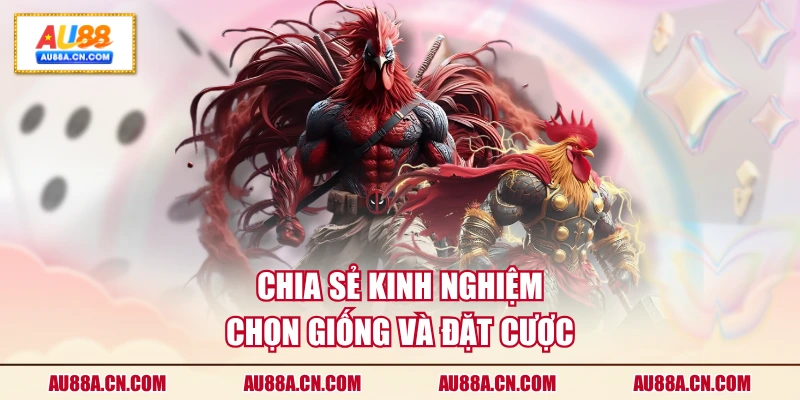 chia-se-kinh-nghiem-chon-giong-va-dat-cuoc