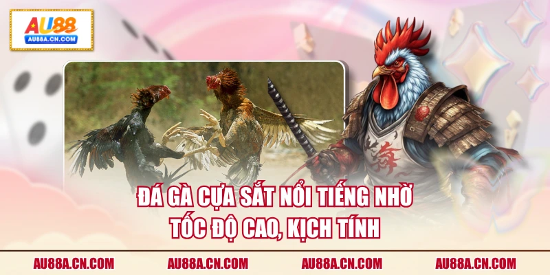 da-ga-cua-sat-noi-tieng-nho-toc-do-cao-kich-tinh