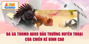 da-ga-thomo-au88-dau-truong-huyen-thoai-cua-chien-ke-dinh-cao