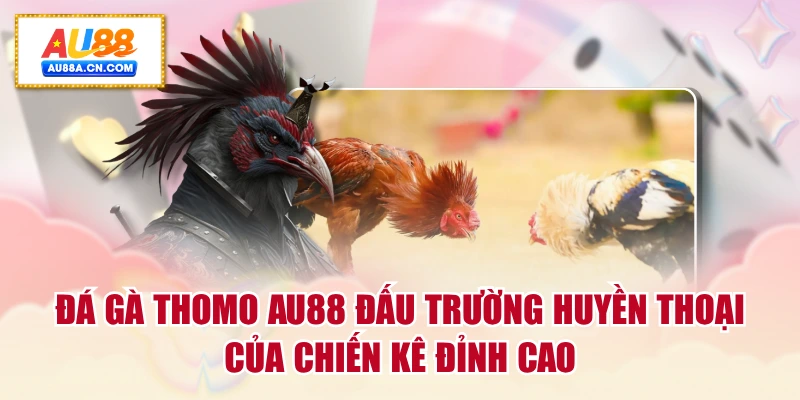 da-ga-thomo-au88-dau-truong-huyen-thoai-cua-chien-ke-dinh-cao