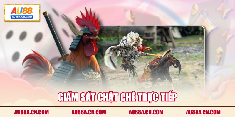 giam-sat-chat-che-truc-tiep
