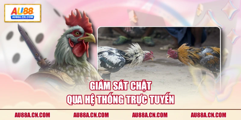 giam-sat-chat-qua-he-thong-truc-tuyen