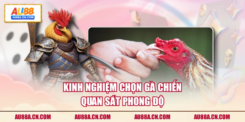 kinh-nghiem-chon-ga-chien-quan-sat-phong-do