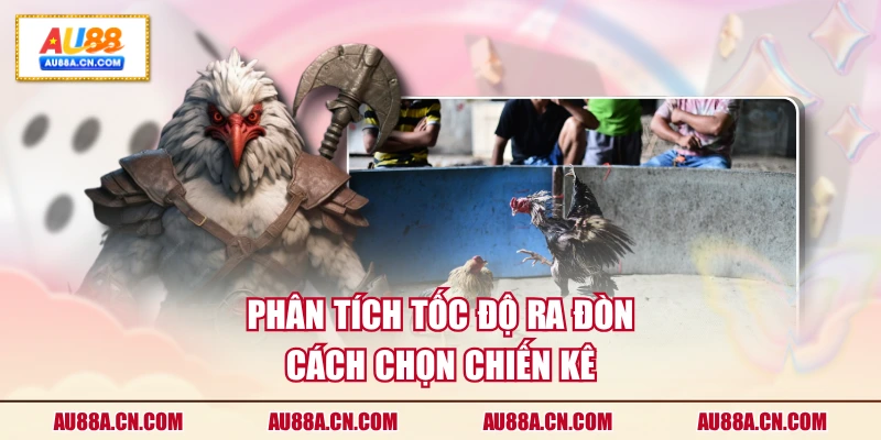 phan-tich-toc-do-ra-don-cach-chon-chien-ke