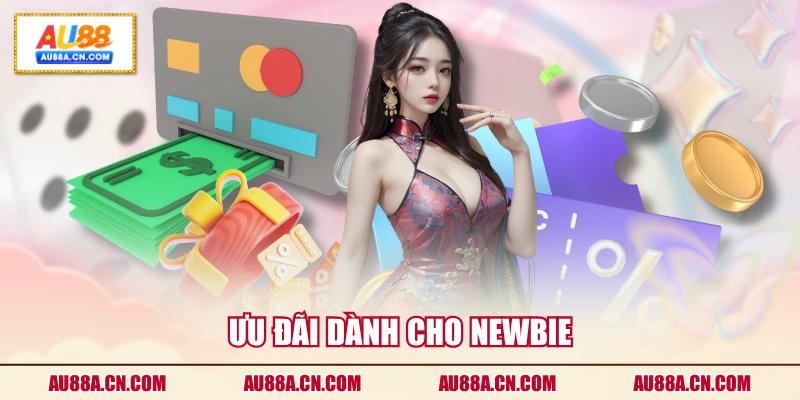 uu-dai-danh-cho-newbie